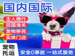 南宁吴圩航空快递国际宠物托运 【国